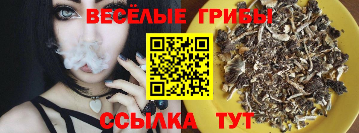 Псилоцибиновые грибы Magic Shrooms  Псилоцибиновые грибы Psilocybine cubensis  Вход с VPN  Назрань 